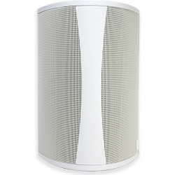 Definitive Technology AW 5500 All Weather Speaker with Bracket white