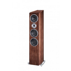 Heco Floorstanding Speakers Celan Revolution 7 + Parasound HINT 6 Stereo Integrated Amplifier