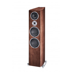 Heco Floorstanding Speakers Celan Revolution 9 + Parasound HINT 6 Stereo Integrated Amplifier