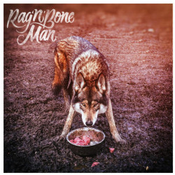 Rag N Bone Man – Wolves (LP)