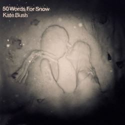 Kate Bush – 50 Words For Snow (2LP)