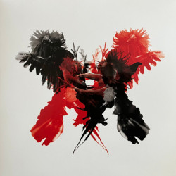 Kings Of Leon – Only By The Night (2LP)